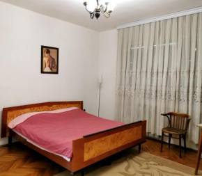 Central Apartment- offers free parking and Wi-Fi